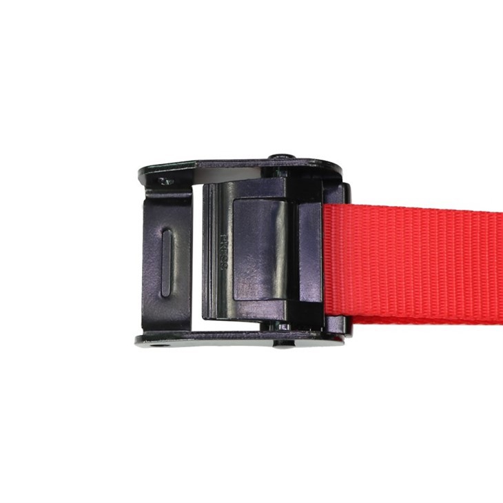 2 Inch Quick Release Black E Coating Cam Lock Buckle